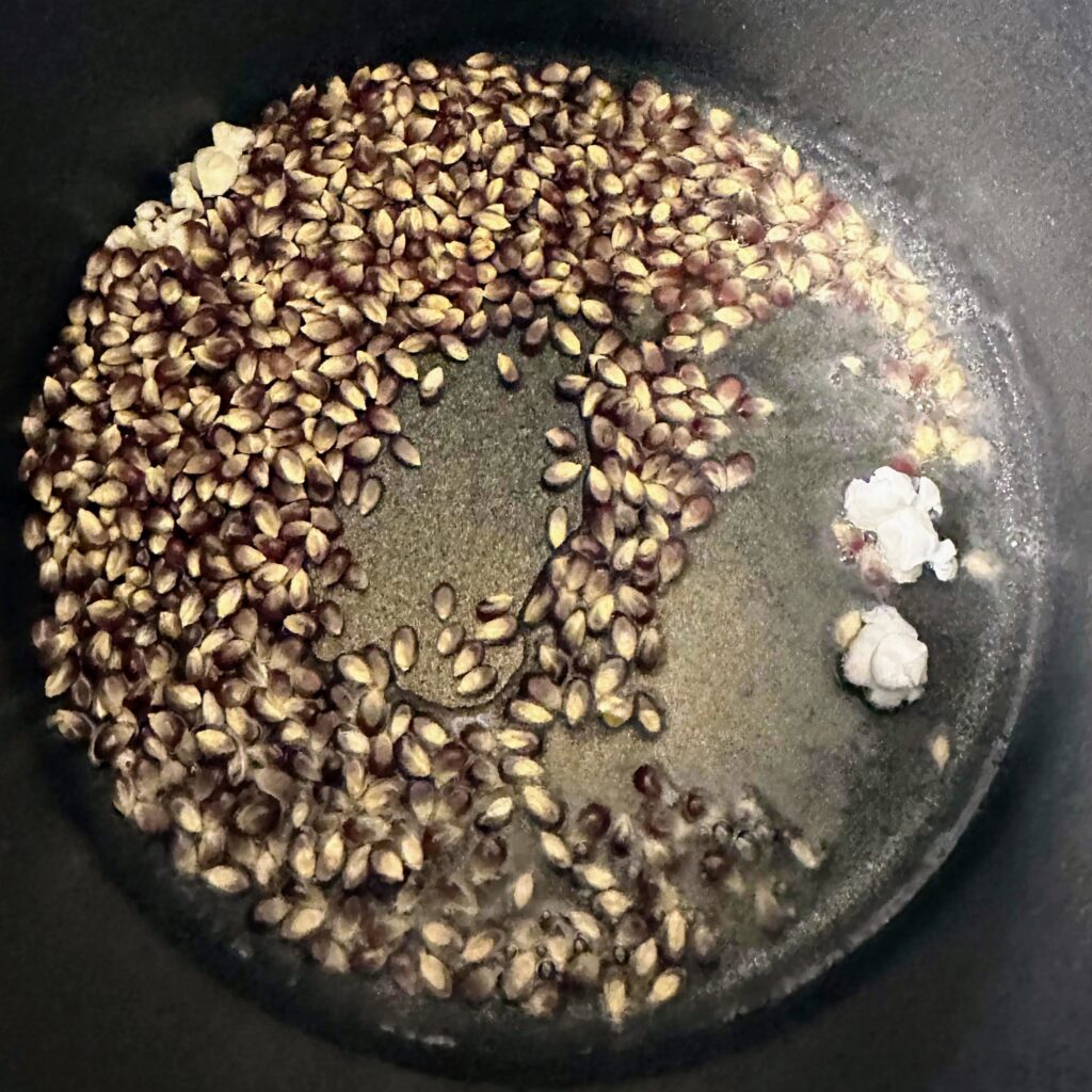 popcorn kernels in a pot of oil
